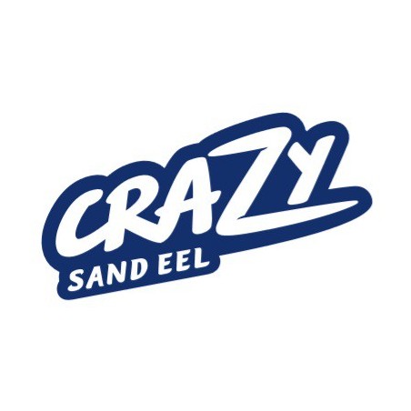 LEURRE FIIISH 3 corps Vert Nacré CRAZY SAND EEL 150 CSE150