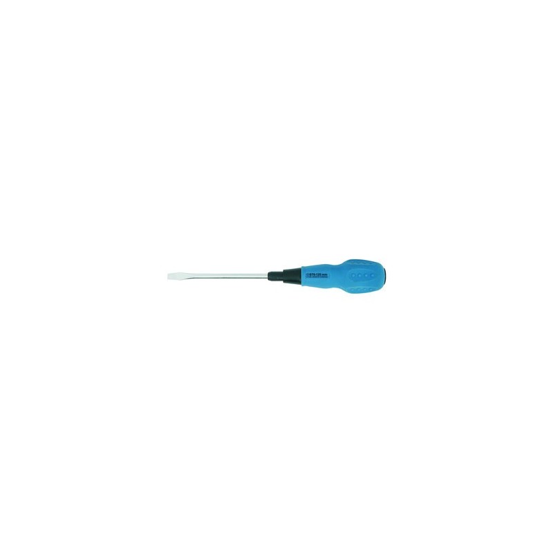 TOURNEVIS PLAT 6x125 mm z --- 