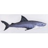 Coussin Peluche Poisson GRAND REQUIN BLANC MINI 53 CM