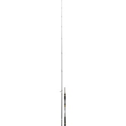 CANNE LEURRE DAIWA BLACK GOLD 702 MHFS  ---