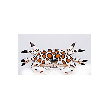 COUSSIN PELUCHE CRABE FLORIDE CALICO CRAB 60 CM