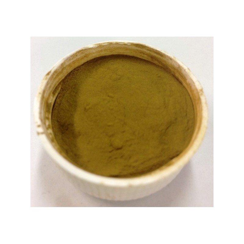 PLASTIFIANT PLOMB POUDRE - OR GOLD pot de 80 grs