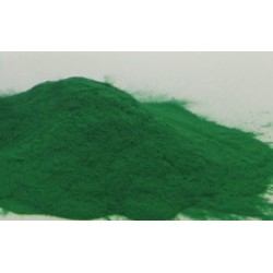 PLASTIFIANT PLOMB POUDRE - VERT CLAIR pot de 80 grs - 100ml