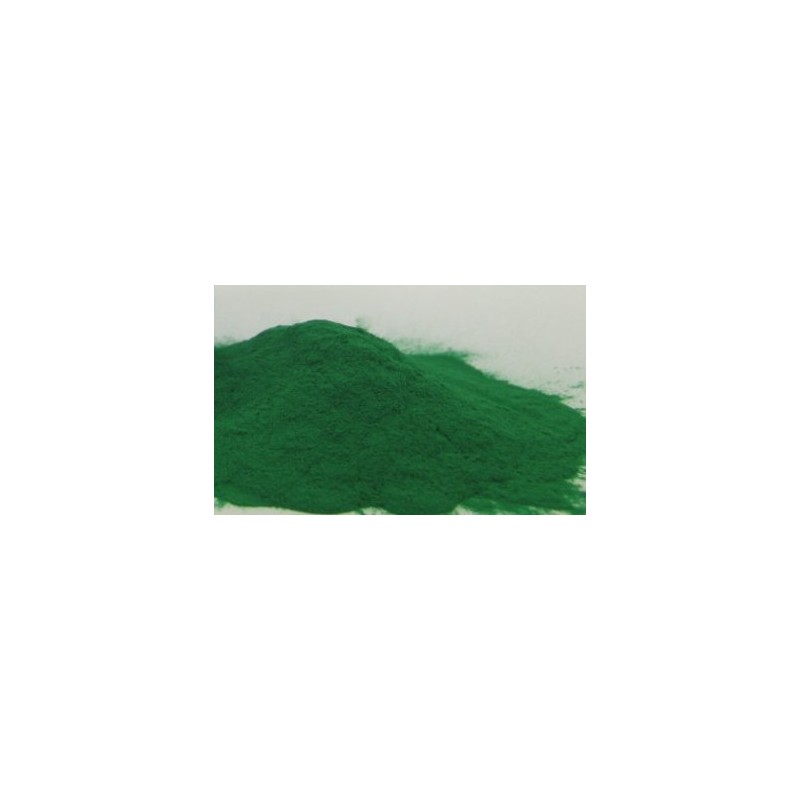 PLASTIFIANT PLOMB POUDRE - VERT CLAIR pot de 80 grs - 100ml