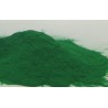 Sachet de PLASTIFIANT VERT CLAIRE 80 grs  - en stock - Colorant Plastifiant