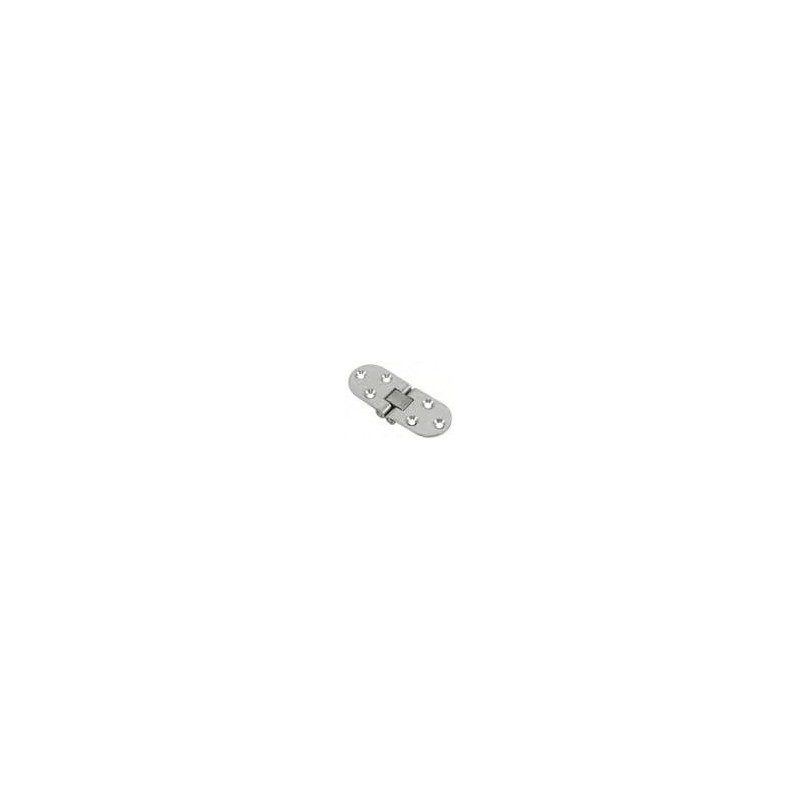 2 CHARNIERES DE TABLE INOX 316  ---