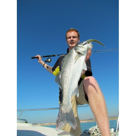 LEURRE MEGABASS TINY X LAYER AYU  ---