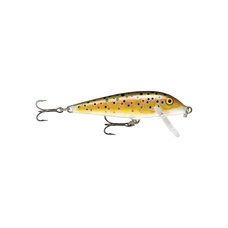 LEURRE RAPALA COUNTDOWN CD05 TR