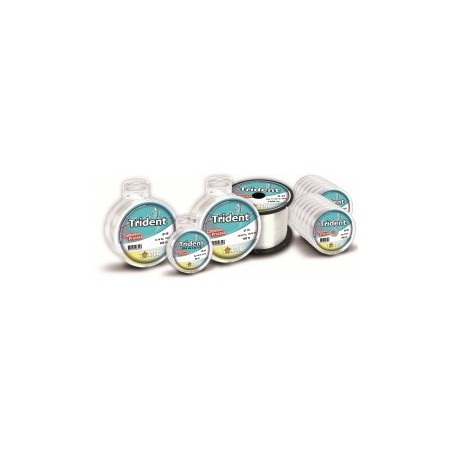 NYLON RAGOT TRIDENT  CAMELEON 300m  0.70 – 40,6kg ---