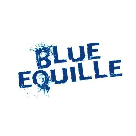 LEURRE FLASHMER BLUE EQUILLE 55 g - NATUREL (NA)