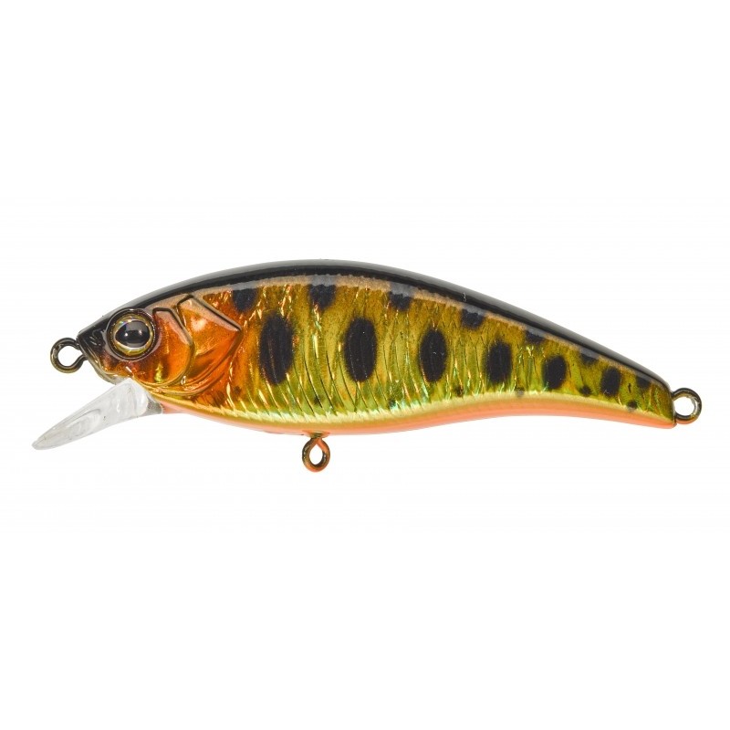 LEURRE ILLEX FLAT TRICOROLL 55 S HL GOLD TROUT