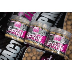 Bouillettes Equilibrées Mainline Balanced Wafters CHOC-O 12 MM