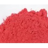 Colorant POUDRE ROUGE CORAIL 20 Grs POU315 pour Plastique liquide 