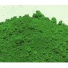 Colorant POUDRE VERT GN 20 Grs pour Plastique liquide 