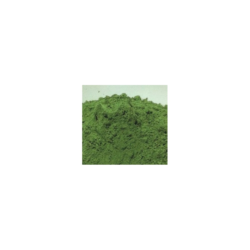 Colorant POUDRE TERRE VERTE DE BRENTONICO 20 Grs pour Plastique liquide 