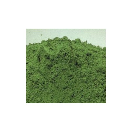 Colorant POUDRE TERRE VERTE DE BRENTONICO 20 Grs pour Plastique liquide 