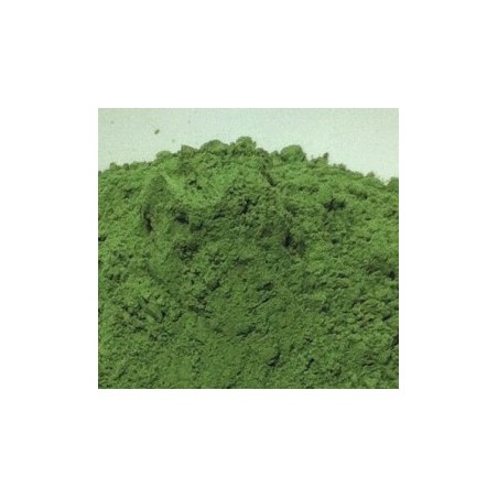 Colorant POUDRE VERT GREEN SPRAT 20 Grs POU320 pour Plastique liquide 