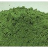 Colorant POUDRE VERT GREEN SPRAT 20 Grs POU320 pour Plastique liquide 