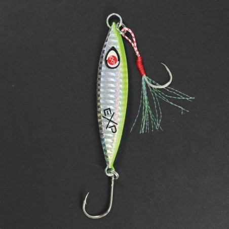 CASTING JIG MEIJI - 30 g - DOS VERT DG