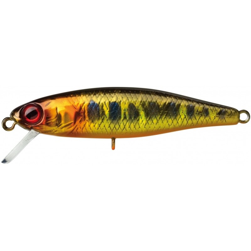 LEURRE ILLEX TINY FRY 50 SP HL GOLD TROUT 