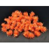 PERLE FOXFIRE 3D POILS HOLOGRAPHIQUE ORANGE