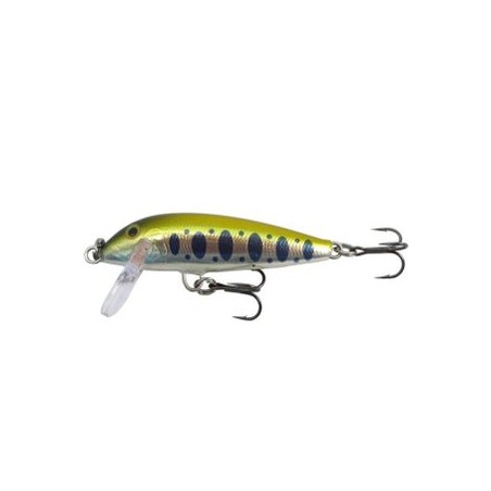 LEURRE RAPALA COUNTDOWN CD05 SYM JAP 