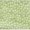 PERLES FLASHMER PHOSPHO 6 mm sachets de 15 - FLASHMER