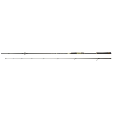 CANNE DAIWA CROSSCAST S 802 HFS