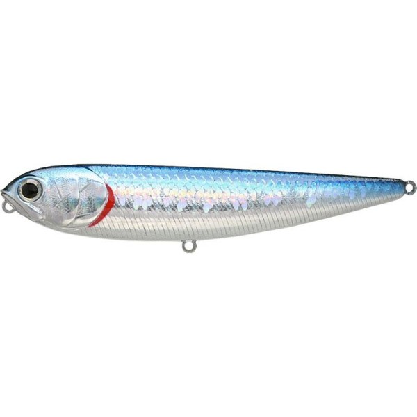 LEURRE LUCKY CRAFT SW Sammy 115 Zebra MS Aurora Black
