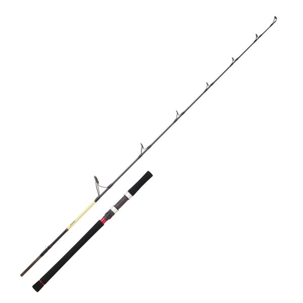 CANNE CASTING DAIWA GRANDWAVE SJ 662 HB OS - Slow Jigging