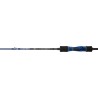 CANNE DAIWA LEXA SLOW JIGGING 61B3