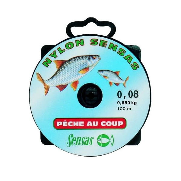 Comme continuer le texte sur la pêche