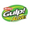 GULP ALIVE HLFP ARENICOLA 4 BLKBLUFL 7OZ