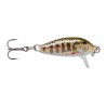 LEURRE RAPALA COUNTDOWN CD07 GJTR