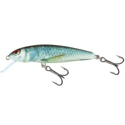 LEURRE SALMO MINNOW COULANT 5cm - 5 Grs REAL DACE RD