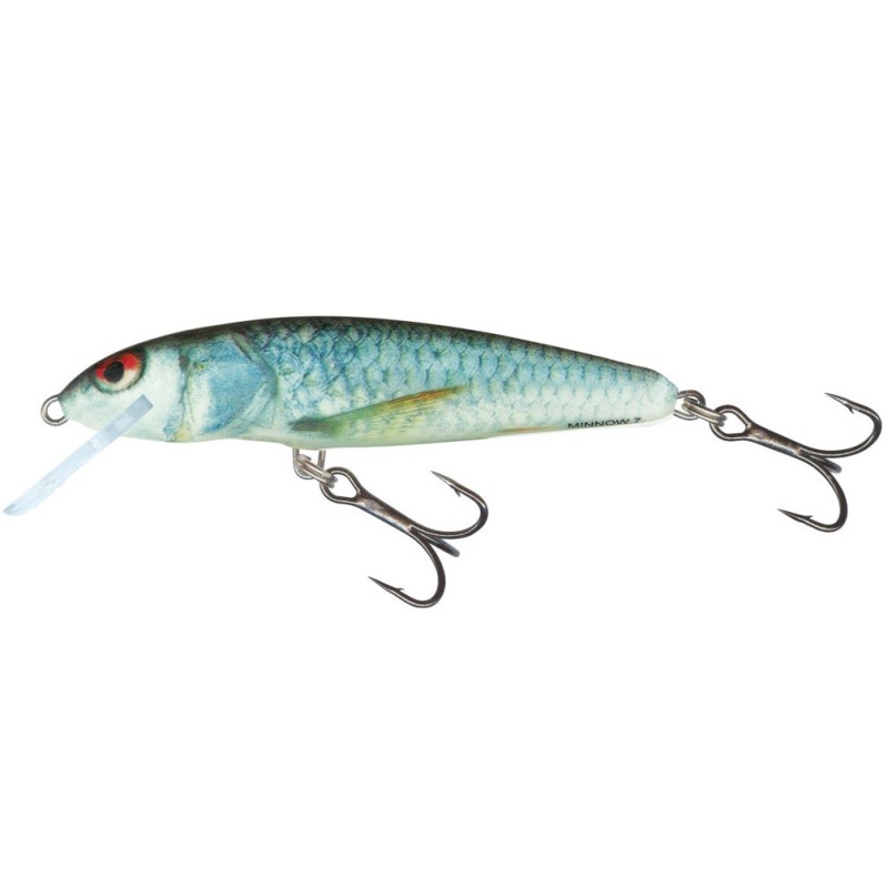 LEURRE SALMO MINNOW COULANT 5cm - 5 Grs REAL DACE RD