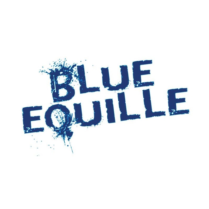 LEURRE FLASHMER BLUE EQUILLE 75 g - AYU 218