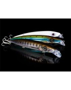 LEURRE FISHUS EPETIT SHALLOW