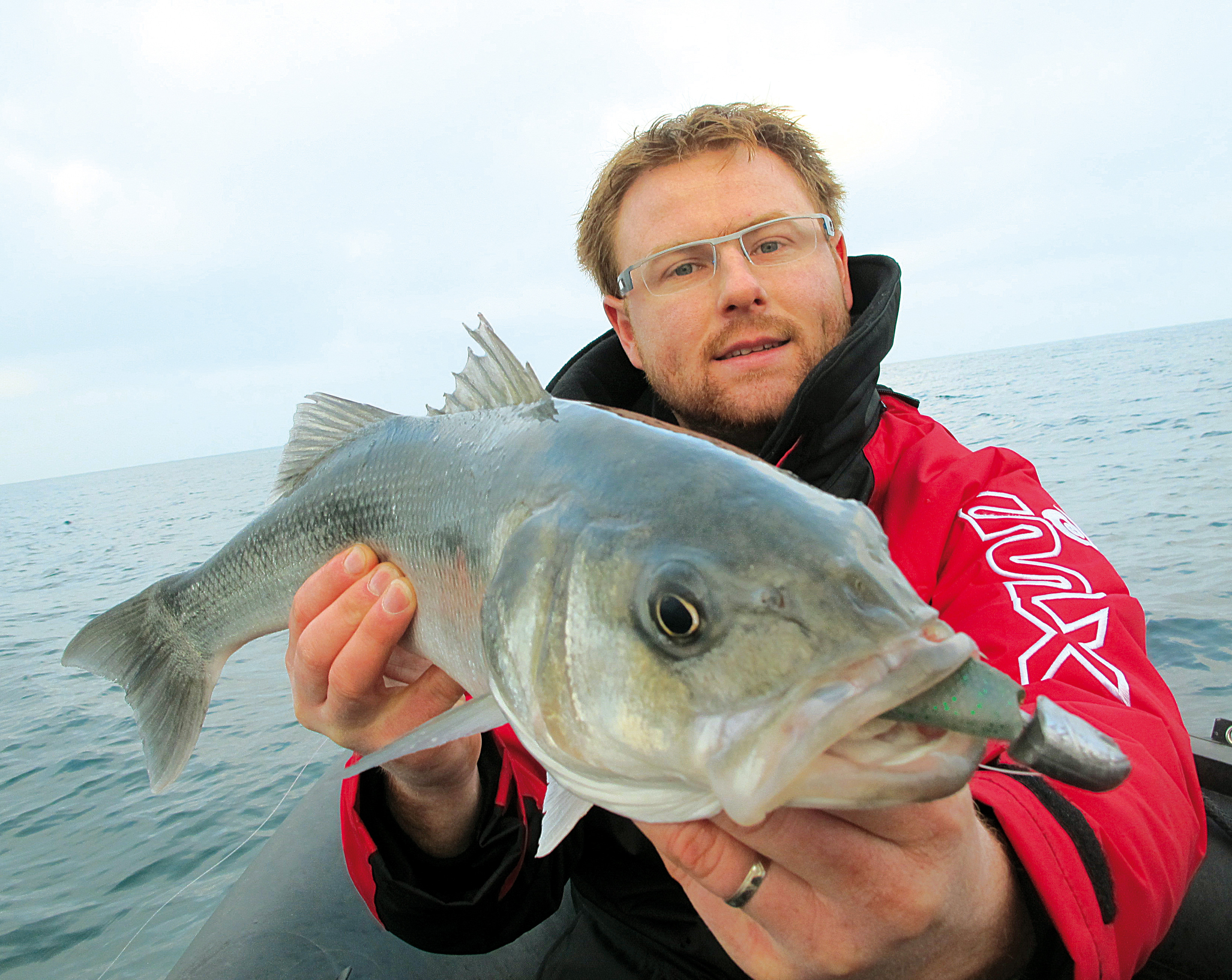 SCIURE FINE DE HETRE non traitée 500 Grs pour Fumage poisson et viande